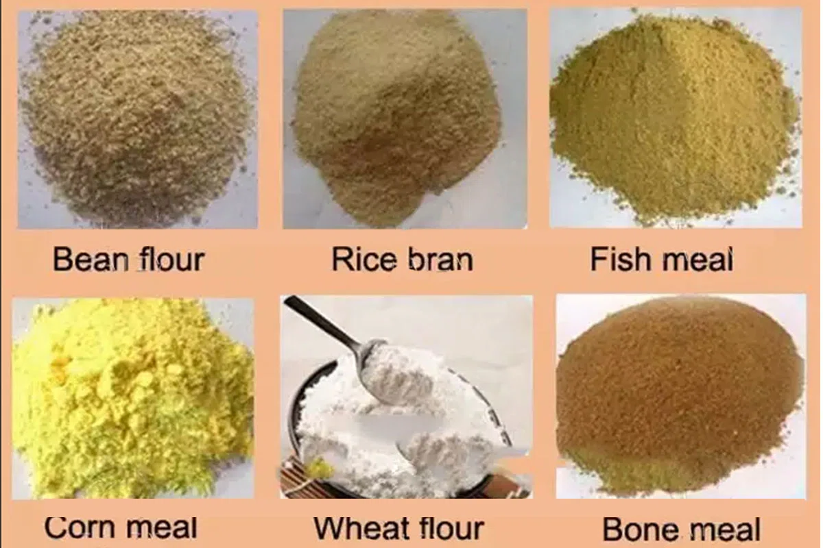 Feed Main What Are the Main Ingredients of Fish Feed? Complete Guide to ...